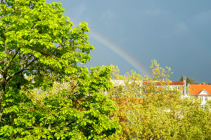 Berlin, street, top floor, linden tree, plane tree, rainbow Berlin, street, top floor, linden tree, plane tree, rainbow